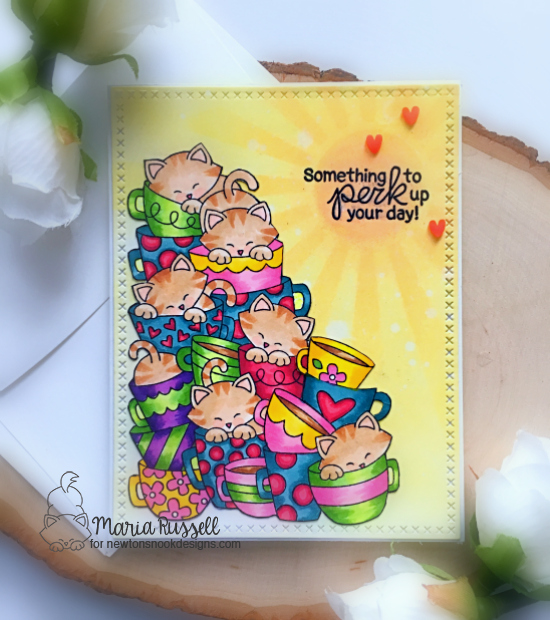 nndcaffeinatedcats2a